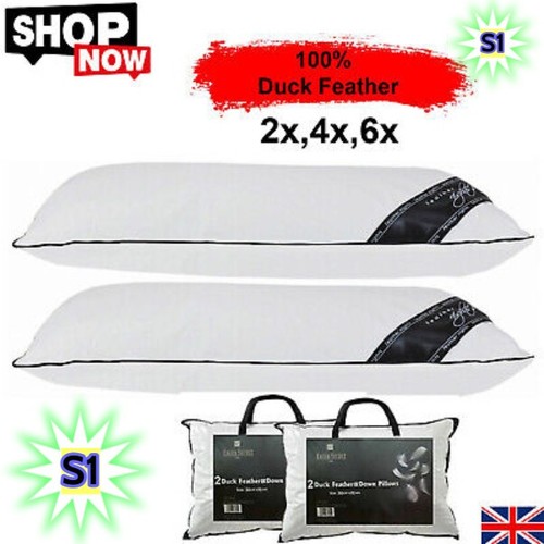 Duck feather pillows luxury - feather,