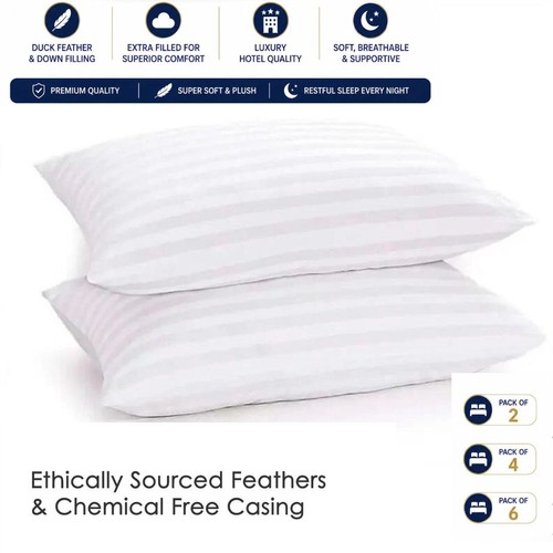 Duck feather pillows pair - feather,