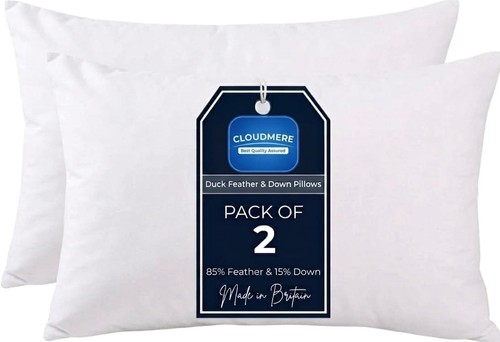 Duck feather down pillows - down,