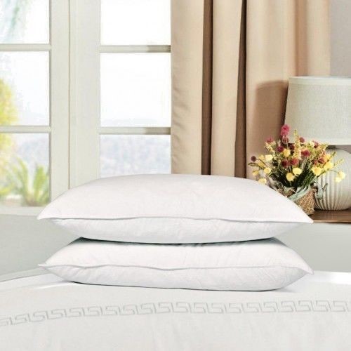 Duck feather down pillows - down,