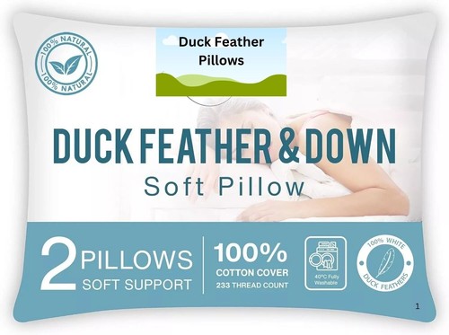 Pack duck feather - 2, &