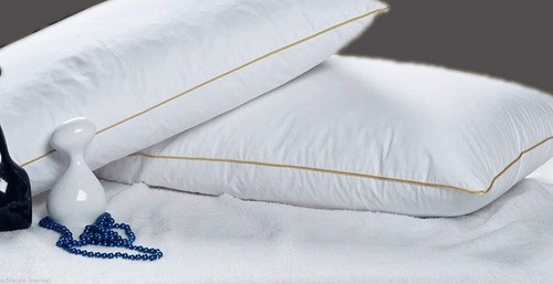 Pair luxury goose feather - luxury,
