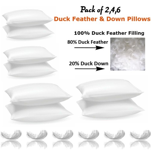 Duck feather down pillows - feather,