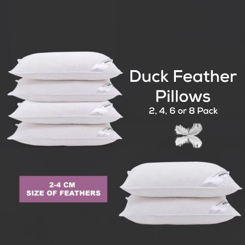 Hotel quality duck feather - duck,