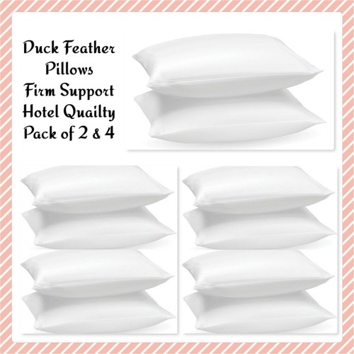 Duck feather and down pillows - duck,
