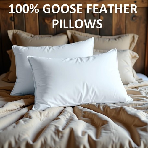 100 goose down pillows - 100%,