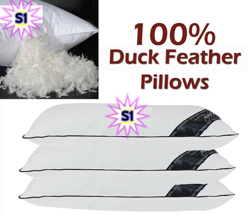 100 duck feather filled soft - feather,