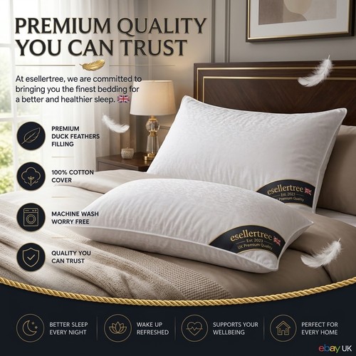 Duck feather pillows pair - duck,
