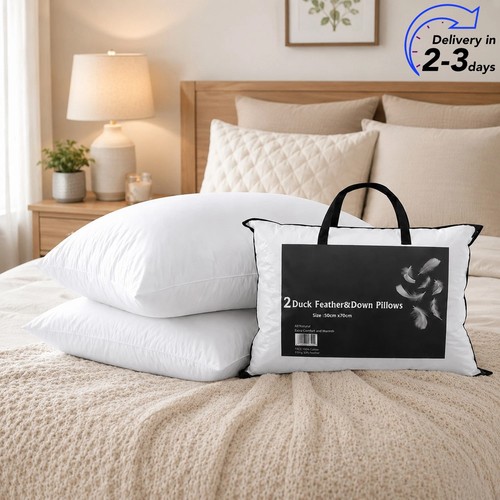 Duck feather down pillows - duck,