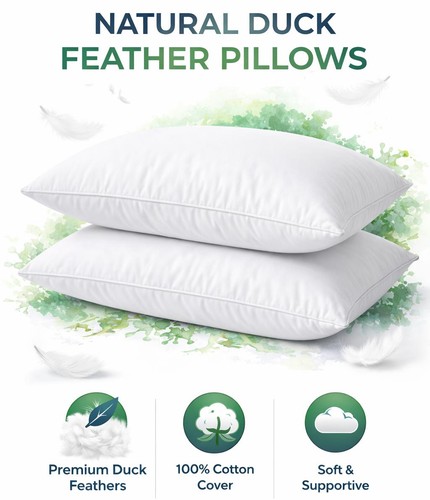 Duck feather down pillows - feather,