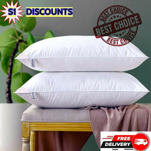 Duck feather down pillows - duck,