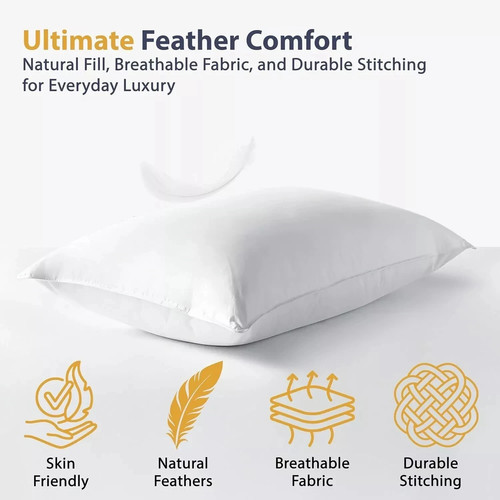 Goose down feather pillows - down,