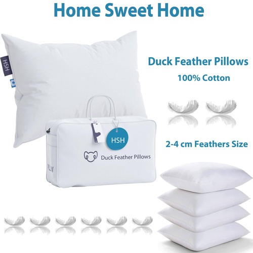 100 cotton duck - cotton,