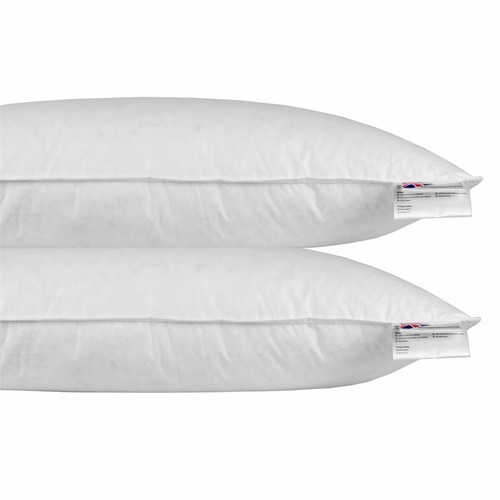 Continental european size duck - european,