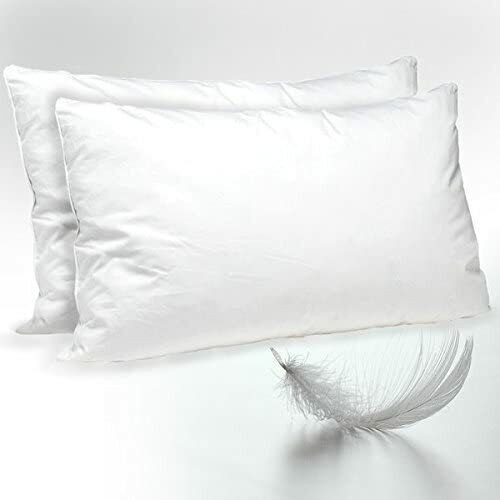 Duck feather down pillows - duck,