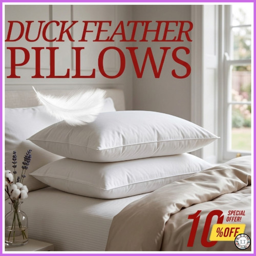 Duck feather down - feather,